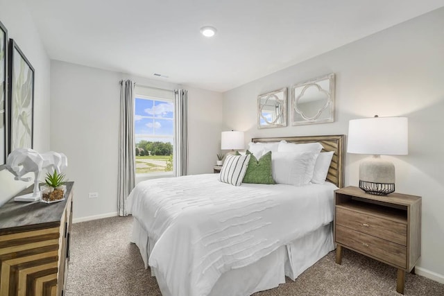 9968 Central Park Blvd, Huntley, IL 60142 - carpeted bedroom featuring baseboards