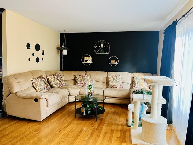 living room featuring wood finished floors