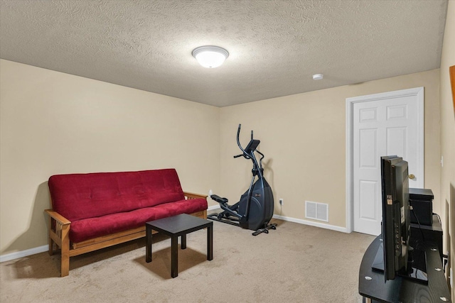4603 Stonebridge Dr, Champaign, IL 61822 - workout area featuring a textured ceiling, carpet, baseboards, and visible vents