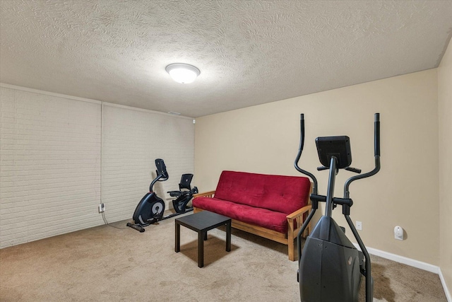 4603 Stonebridge Dr, Champaign, IL 61822 - exercise area featuring a textured ceiling, baseboards, and carpet floors