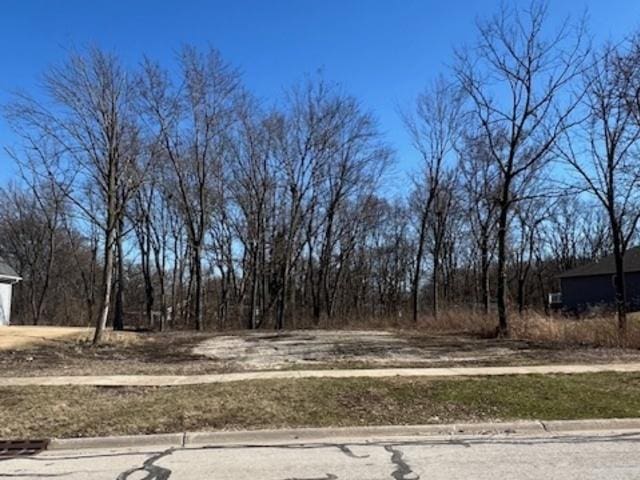25401 S Copper Leaf Dr, Channahon IL, 60410 land for sale
