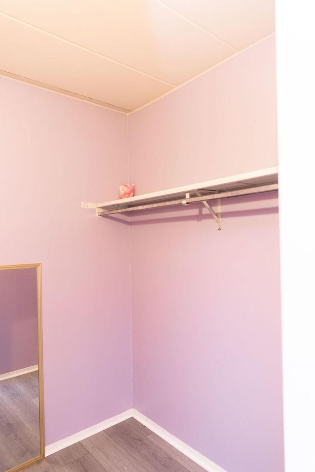 spacious closet with wood finished floors
