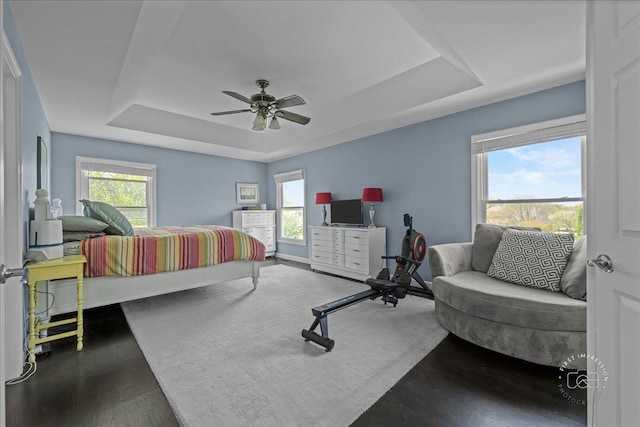6N372 E Ridgewood Dr, Saint Charles, IL 60175 - bedroom with a tray ceiling, multiple windows, and wood finished floors