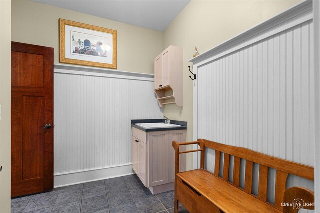 5900G Red Gate Ln, Yorkville, IL 60560 - clothes washing area featuring a sink, dark tile patterned flooring, and wainscoting