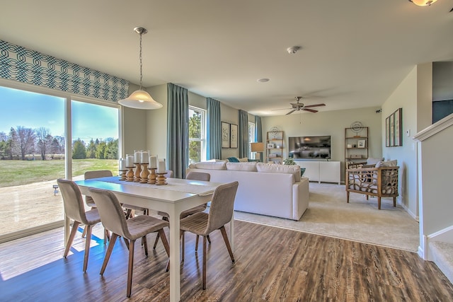 dining room with ceiling fan and wood finished floors