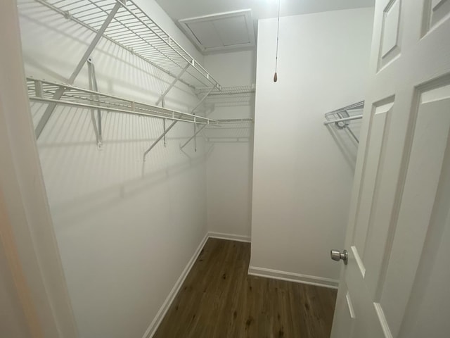 walk in closet featuring wood finished floors