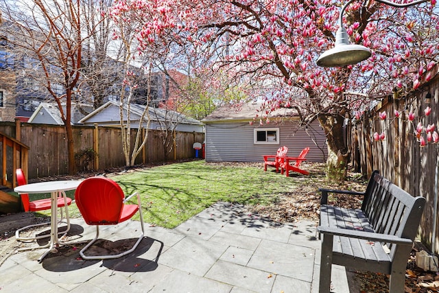 view of yard featuring a fenced backyard and a patio area