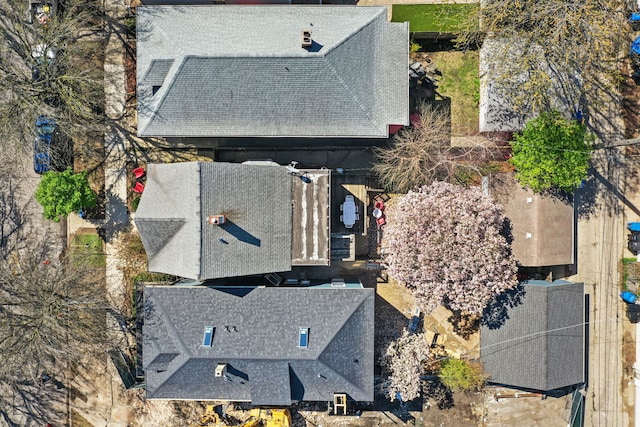 bird's eye view