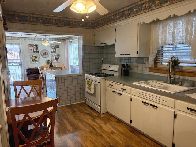 kitchen with a sink, ceiling fan, a wealth of natural light, and white gas stove