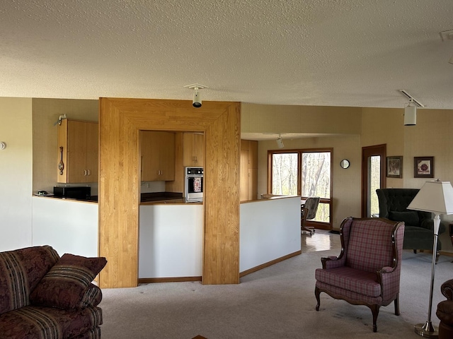 carpeted living area with track lighting and a textured ceiling