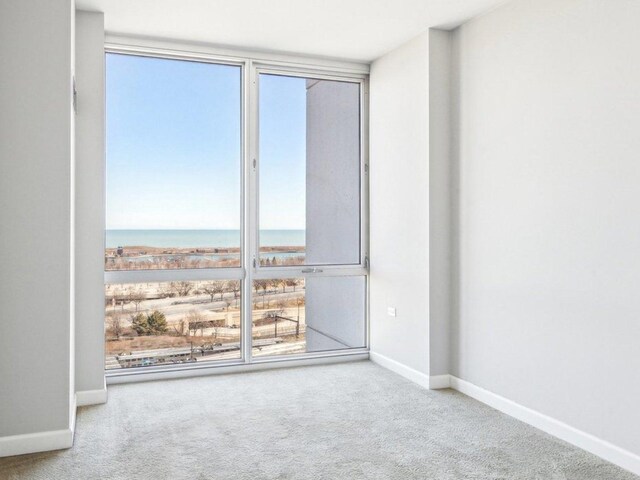 carpeted spare room featuring baseboards and a water view