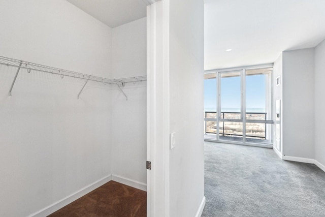 spacious closet featuring carpet flooring