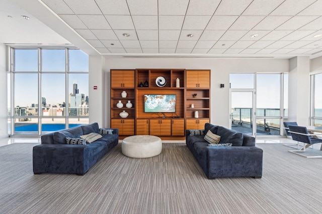 carpeted living area featuring a paneled ceiling
