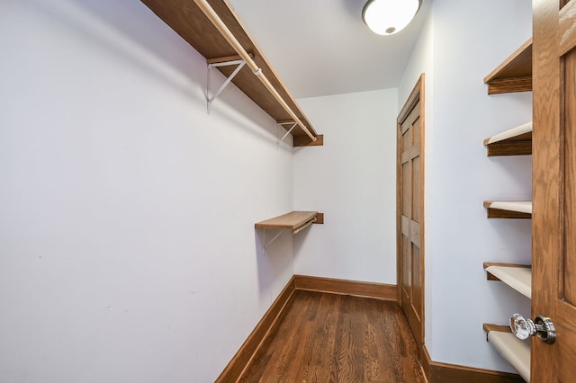 walk in closet featuring dark wood-style flooring