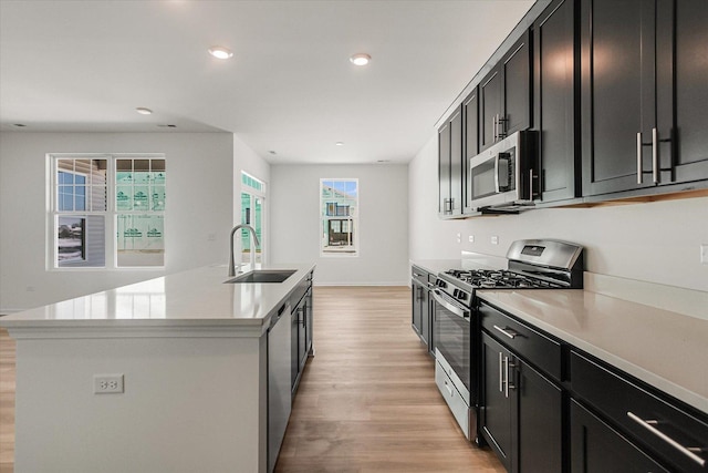 4 Harborside Way, Hawthorn Woods, IL 60047 - kitchen with dark cabinetry, light wood-style flooring, a sink, and appliances with stainless steel finishes