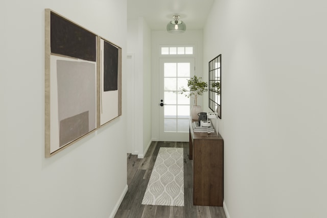 4 Harborside Way, Hawthorn Woods, IL 60047 - doorway with dark wood-style flooring and baseboards