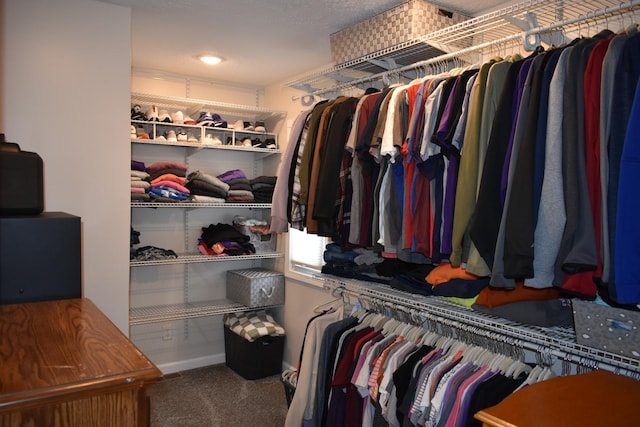 spacious closet with carpet floors