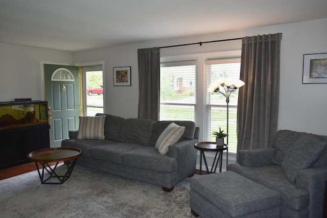 living area featuring wood finished floors