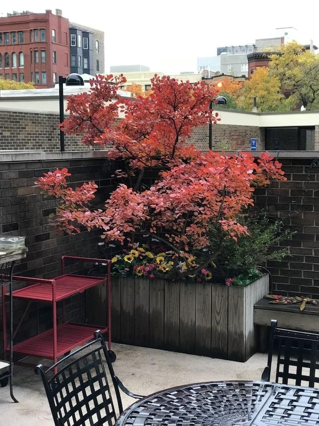 1555 N Sandburg Ter Unit 115K, Chicago, IL 60610 - view of balcony