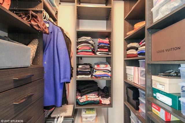 view of walk in closet