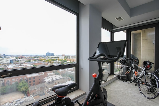 exercise room with carpet floors