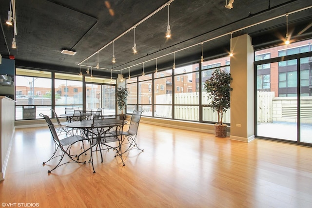 sunroom with track lighting
