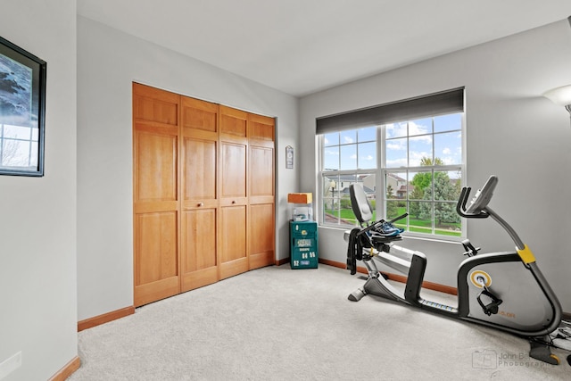 486 Devonaire Pkwy, Dekalb, IL 60115 - exercise area featuring baseboards and light colored carpet
