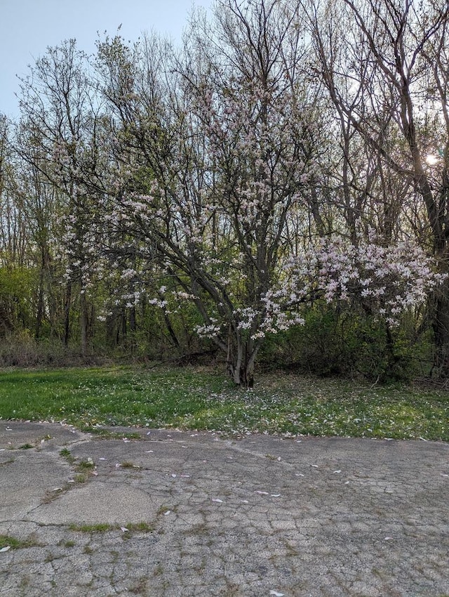 582 W Dresser Rd, Dekalb, IL 60115