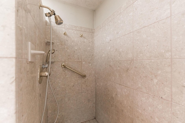 609 Moss Pl, Dixon, IL 61021 - bathroom with tiled shower
