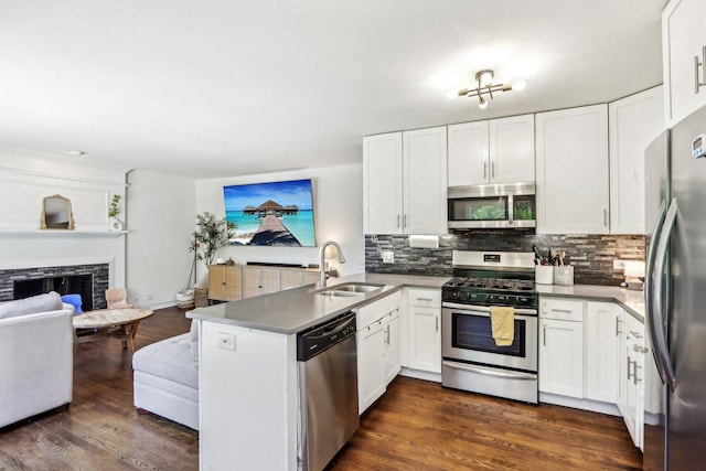 1462 Belle Haven Dr, Grayslake, IL 60030 - kitchen with stainless steel appliances, a sink, a peninsula, open floor plan, and tasteful backsplash