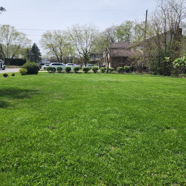 11258 S Normandy Ave, Worth, IL 60482 - view of yard