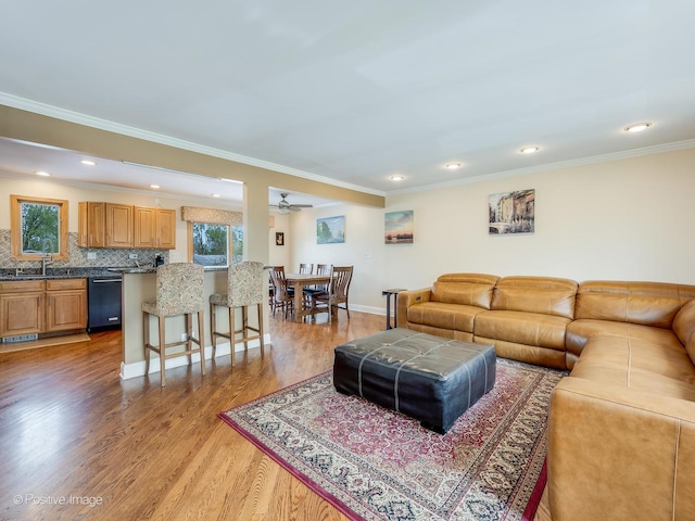 living area featuring ceiling fan, visible vents, ornamental molding, and light wood finished floors
