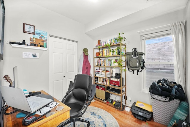 office featuring wood finished floors