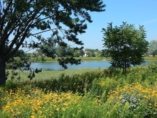 2245 Lakeside Dr, Aurora, IL 60504 - view of water feature