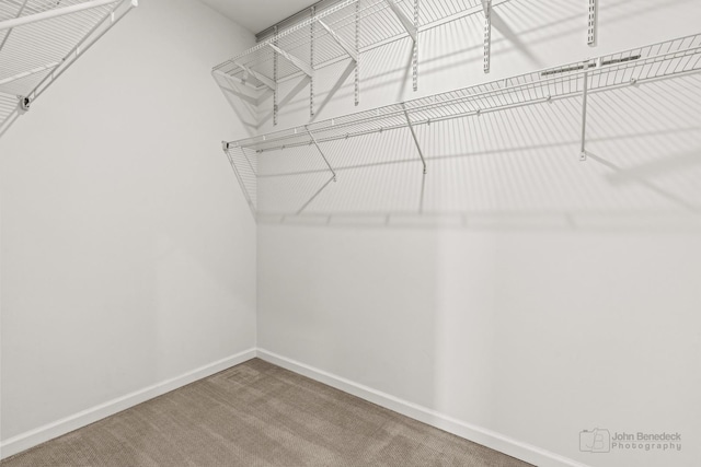 walk in closet featuring carpet flooring