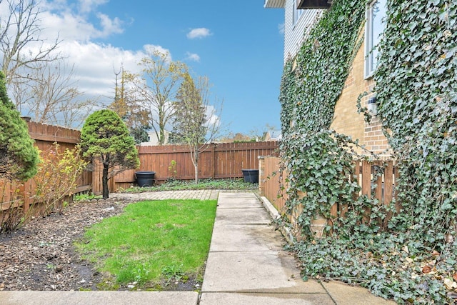 view of yard with a fenced backyard