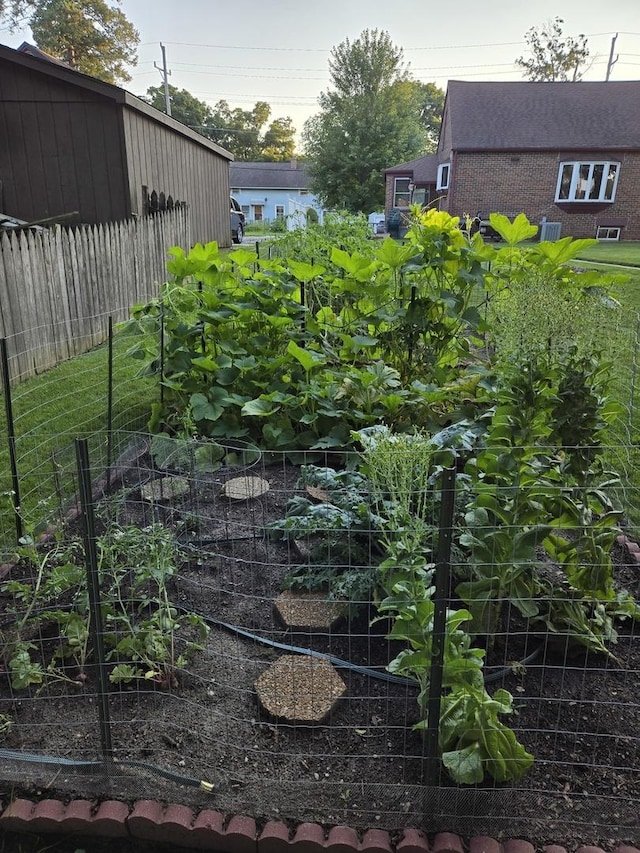 view of yard with a vegetable garden