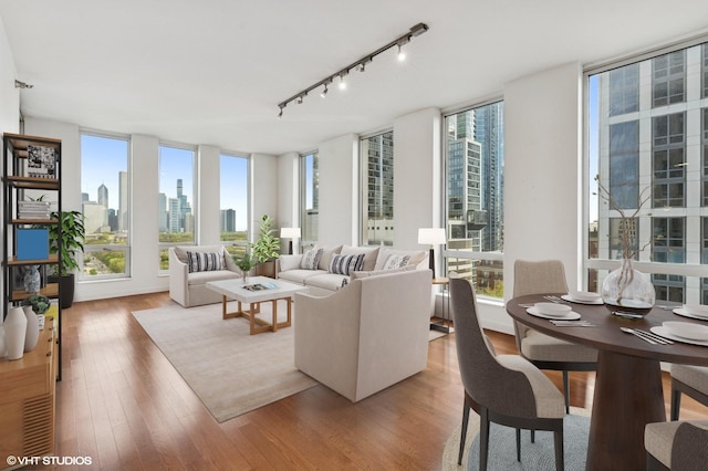 sunroom featuring a view of skyline and rail lighting