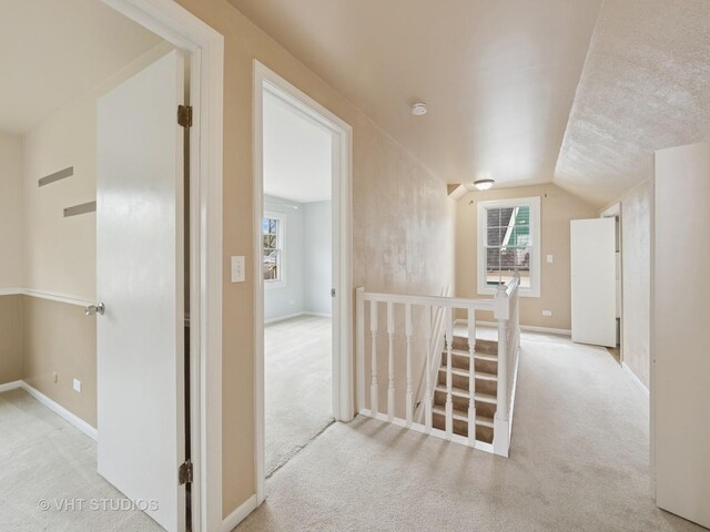 1033 Bellevue Ave, Elgin, IL 60120 - hall with a healthy amount of sunlight, carpet, and an upstairs landing