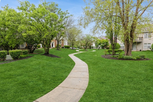 view of community featuring a lawn