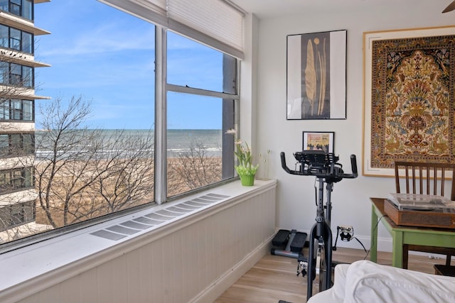 interior space featuring baseboards, a view of the beach, a water view, and light wood-style flooring