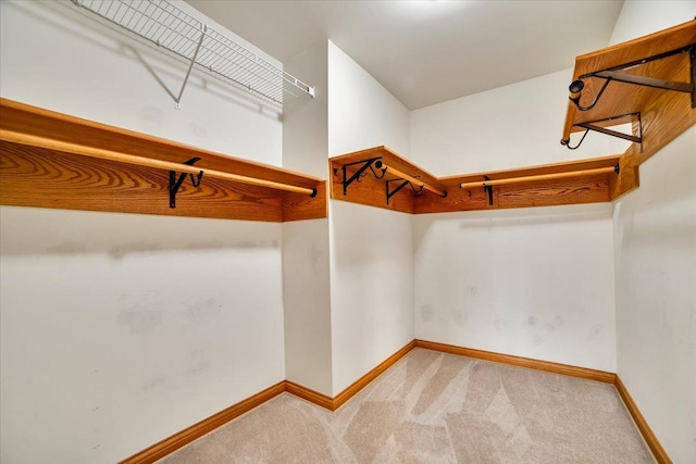 walk in closet with carpet flooring