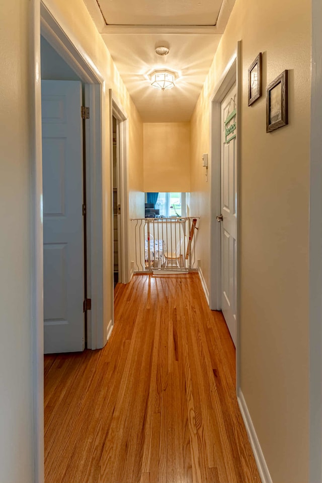 750 Evergreen Ln, Bartlett, IL 60103 - hallway with wood finished floors and baseboards