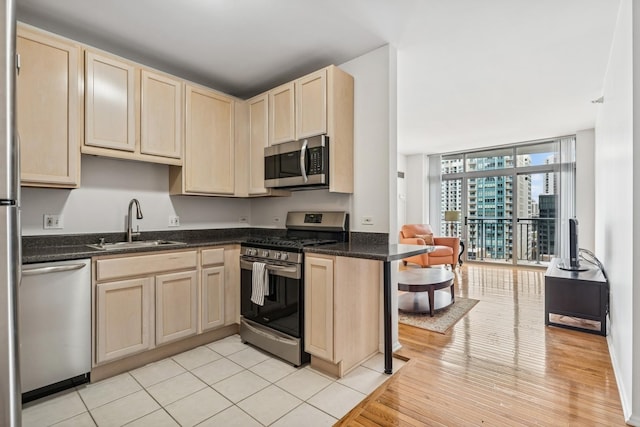 kitchen featuring appliances with stainless steel finishes, a sink, and light brown cabinets
