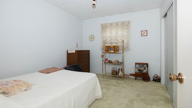 bedroom with a closet and light carpet