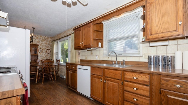 kitchen featuring dishwasher, dark wood finished floors, ceiling fan, a sink, and open shelves