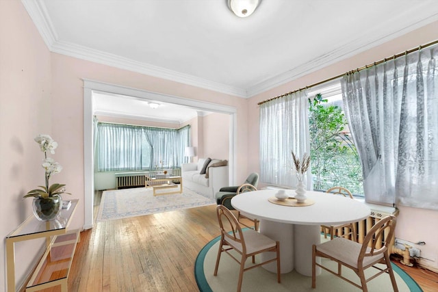 dining room with crown molding, radiator heating unit, and hardwood / wood-style flooring
