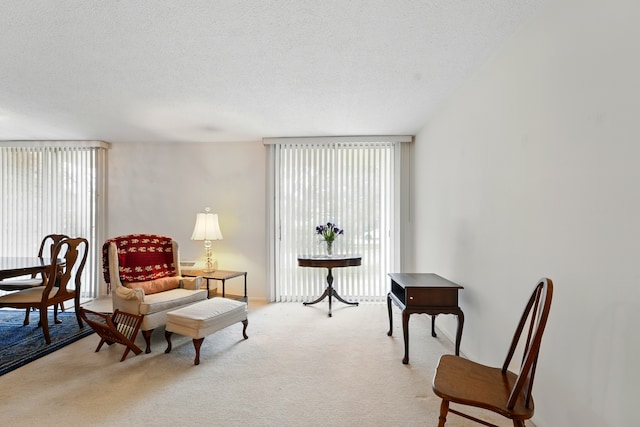 sitting room featuring carpet flooring and a textured ceiling