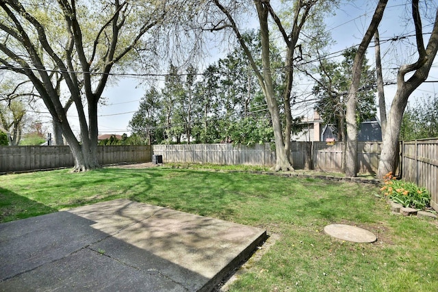 view of yard featuring a patio and a fenced backyard