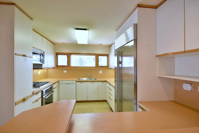 kitchen with light countertops, appliances with stainless steel finishes, a healthy amount of sunlight, and a sink